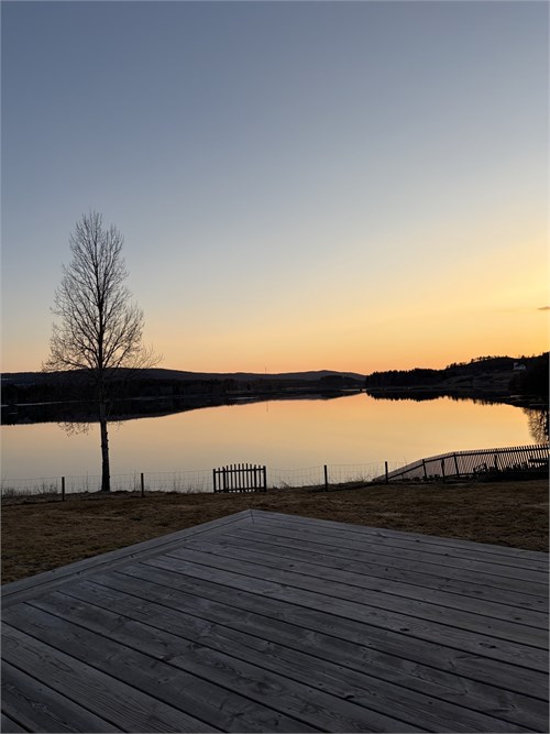 Säljarens bild