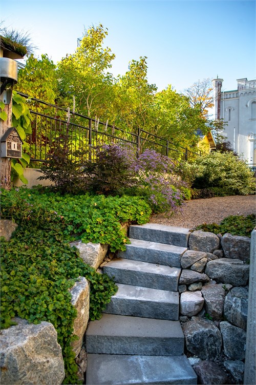 Föreningens gemensamma gård