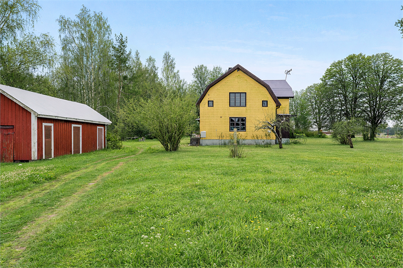 OBS Bilden är AI redigerad till sommar