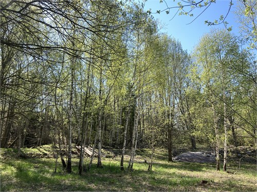 Kila Brink 7, Björkkulla
