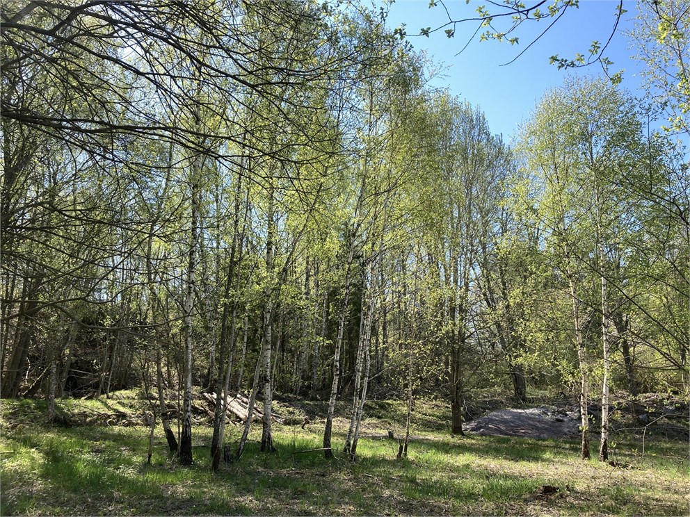 Kila Brink 7, Björkkulla