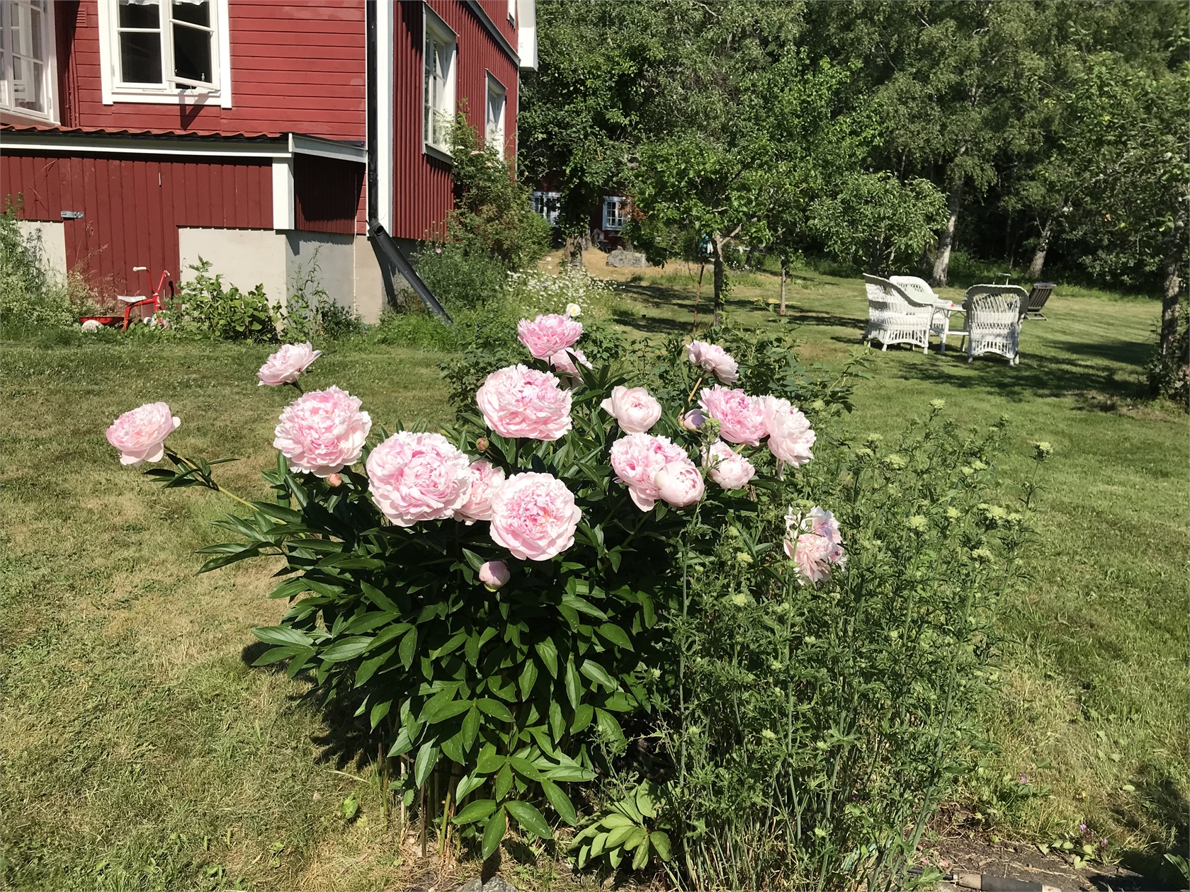 Fredriksrovägen 18 – bild 14