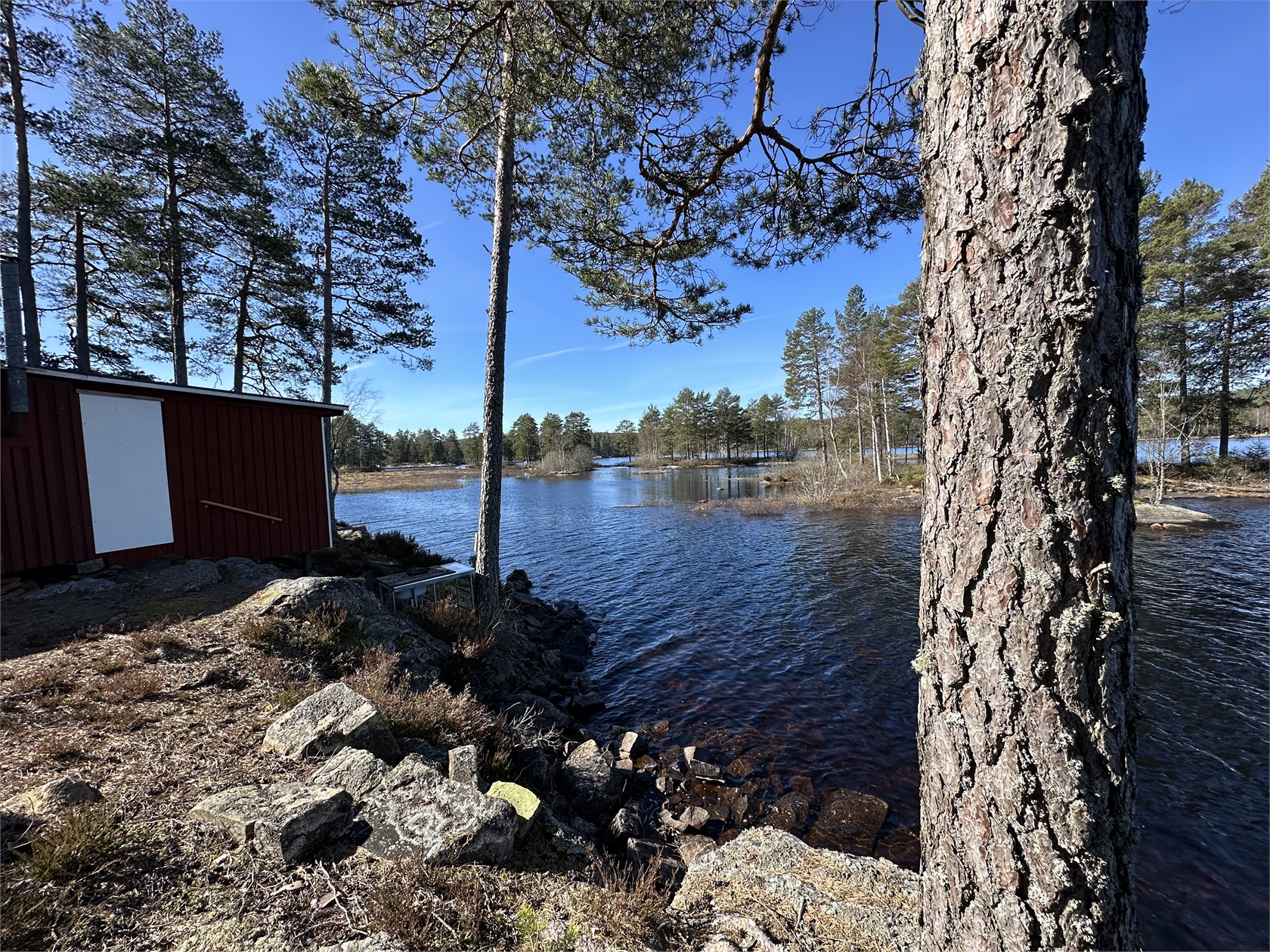 25