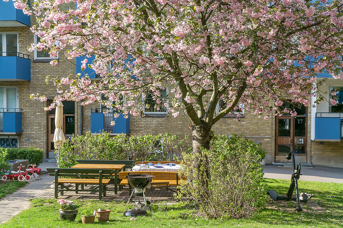 Haråsgatan 21 – bild 13