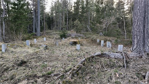 Grund för hus