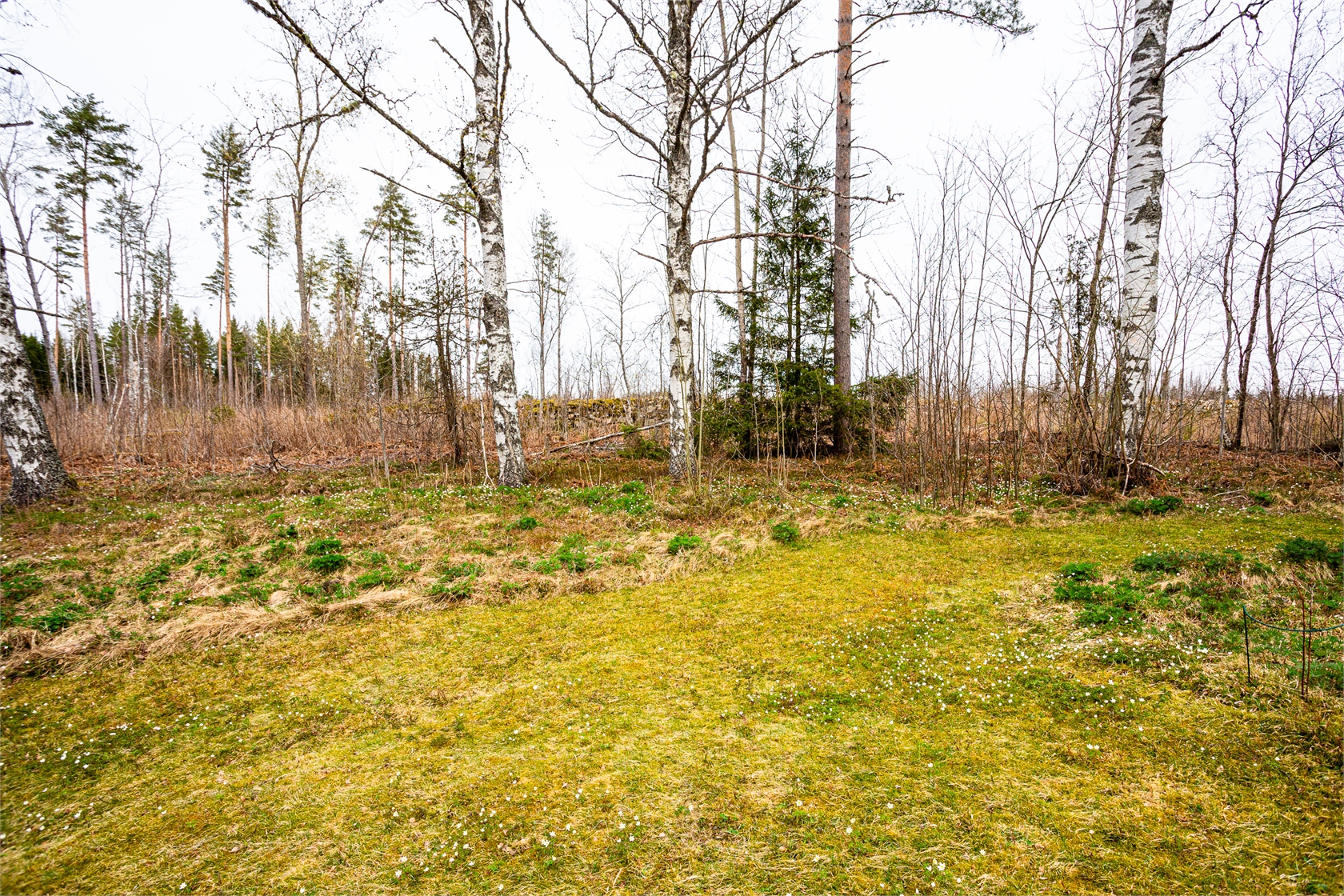 Lindesby 417 – bild 10