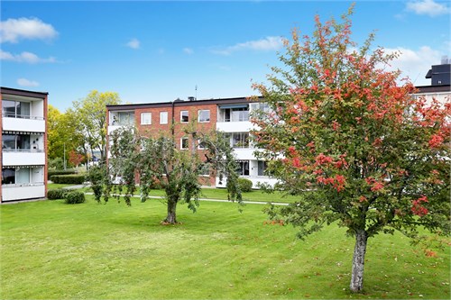 Grönskande och välskött innergård