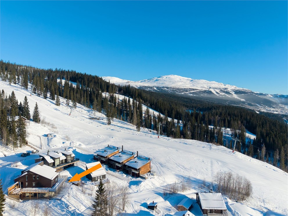 Tegefjäll Lingonet 4C