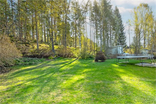 Tomten gränsar mot skogsparti