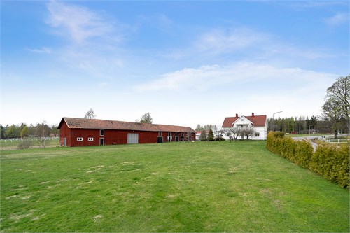 Svineberg 51