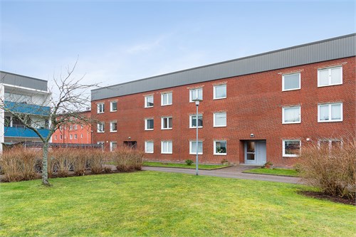 Poppelvägen 62