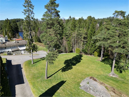 Översikt med utsikt över tjärnet