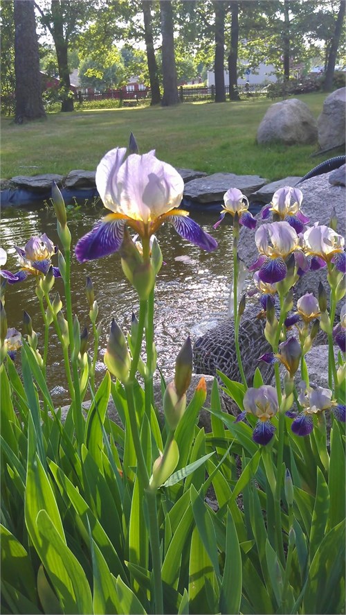 Bild 5
