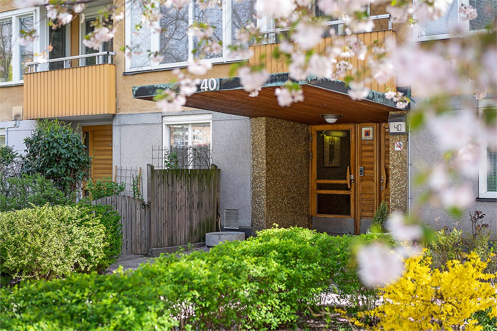 Välkommen till Ankdammsgatan 40