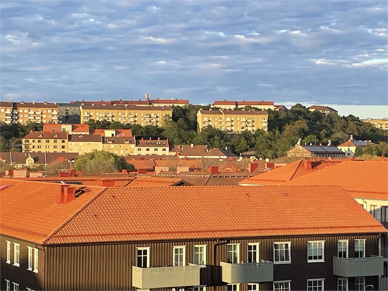 Säljarens egna bild 