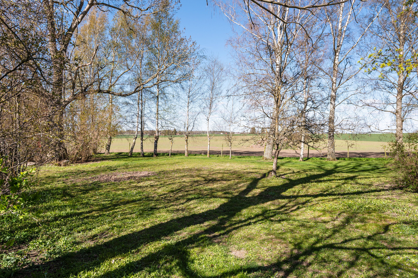 Hov 231 – bild 12