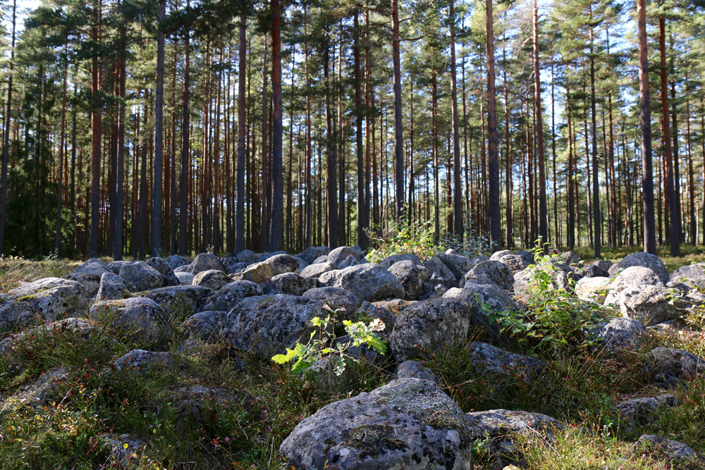 Höglundavägen 19 – bild 17
