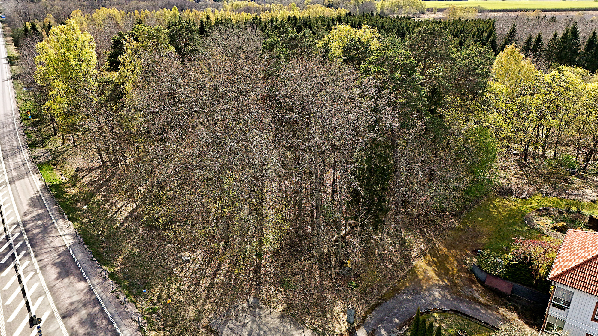 Alberg väg