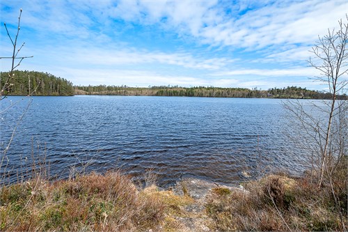 Från strandkanten