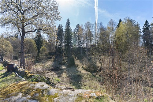 Tomten är på 1,6 hektar