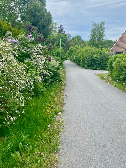 Basunvägen 53 – bild 31