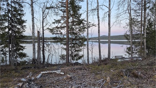 Säljarens bild