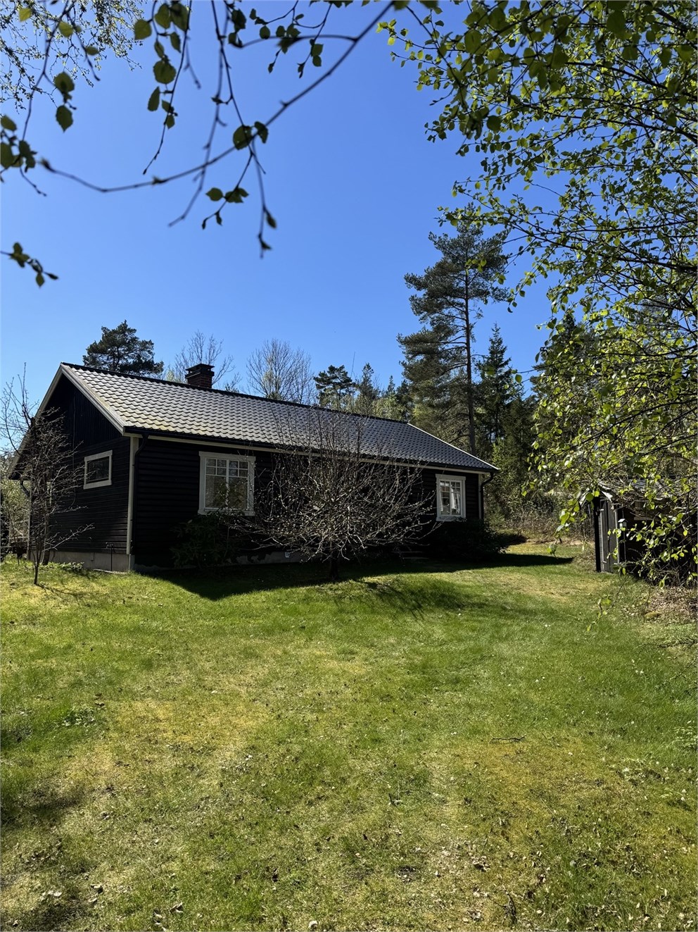 Sikhall 244
