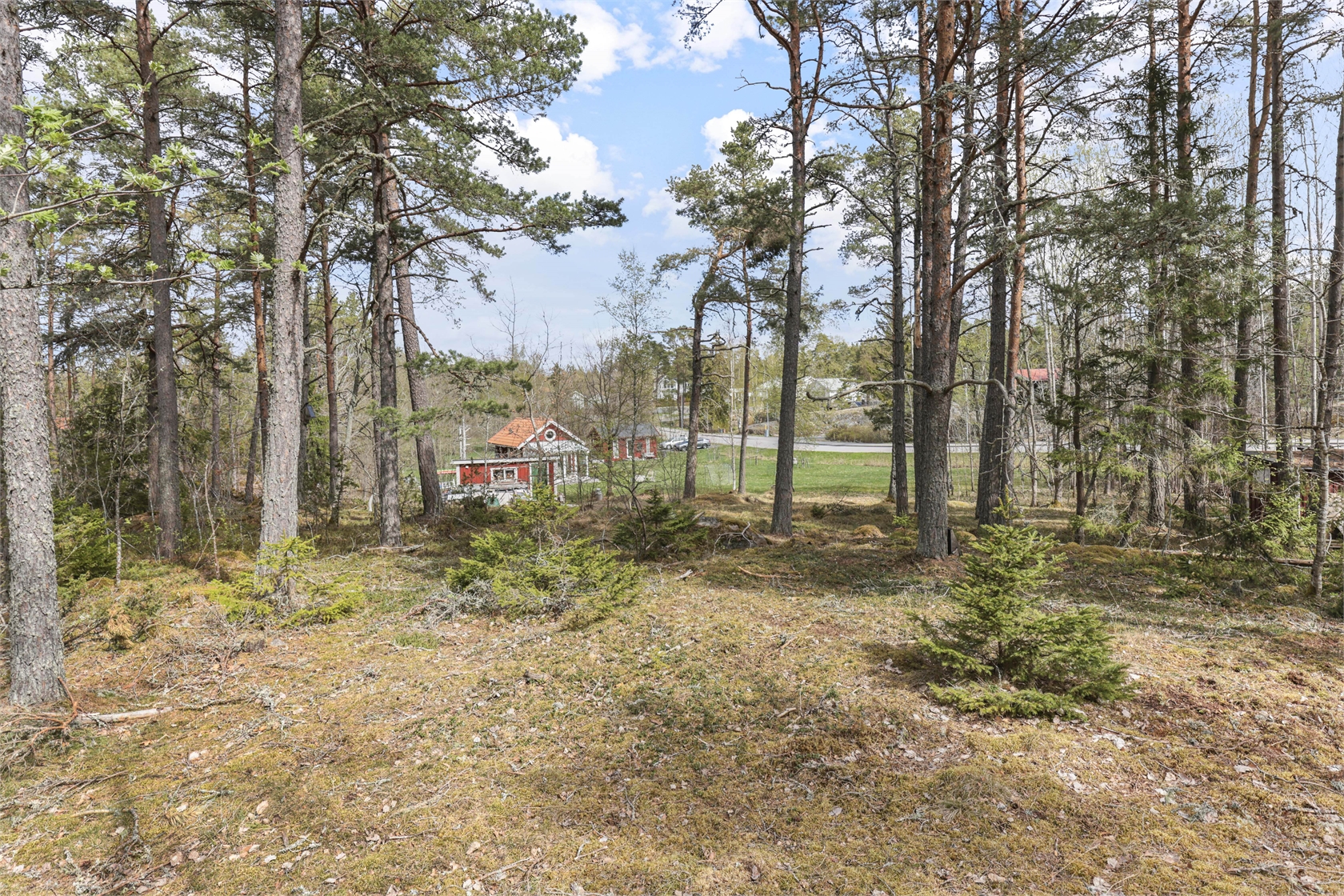 Öregrund 117:6