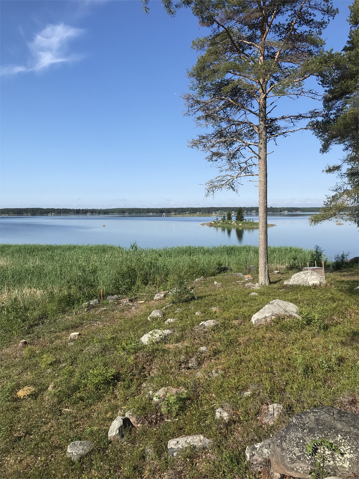 Bild 2 från Fastighetsbyrån