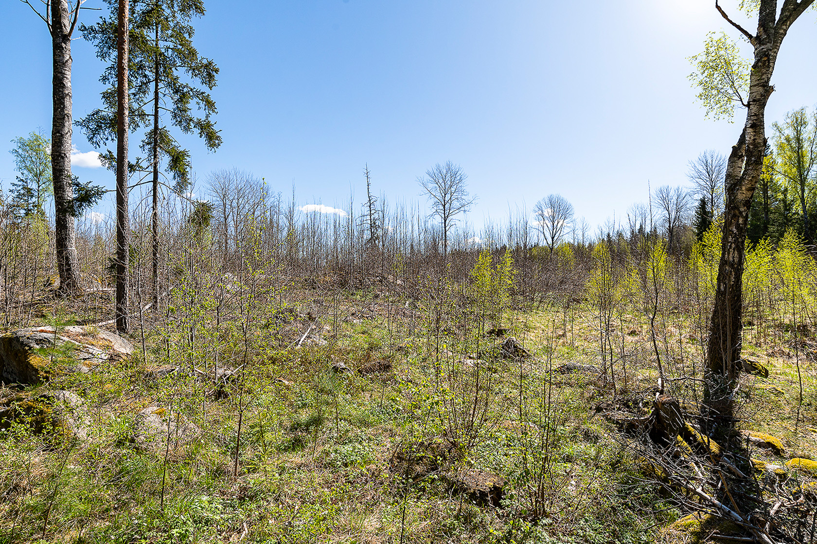 Norrtorpsvägen 16 – bild 16