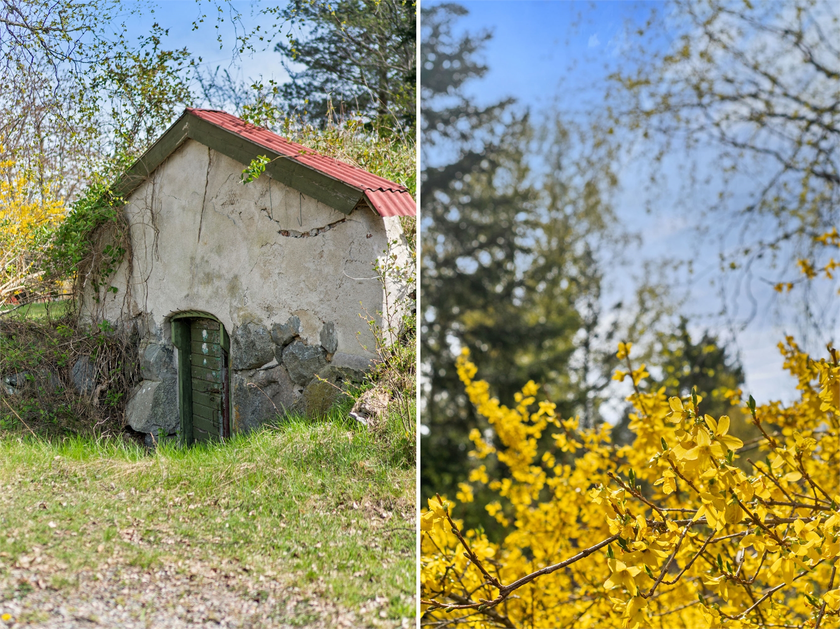 Heleneborg 1 – bild 16
