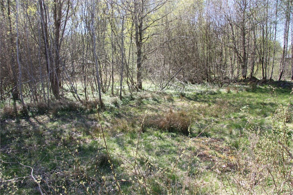 Tockarpsvägen 13