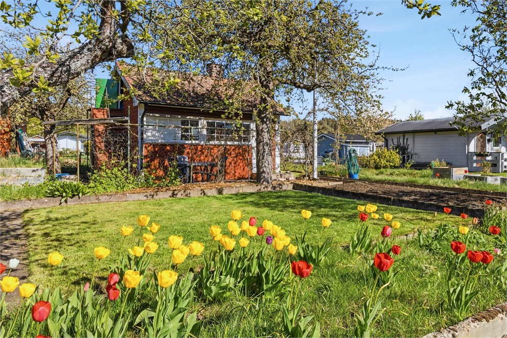 Petunievägen 46 (Valla koloniområde)