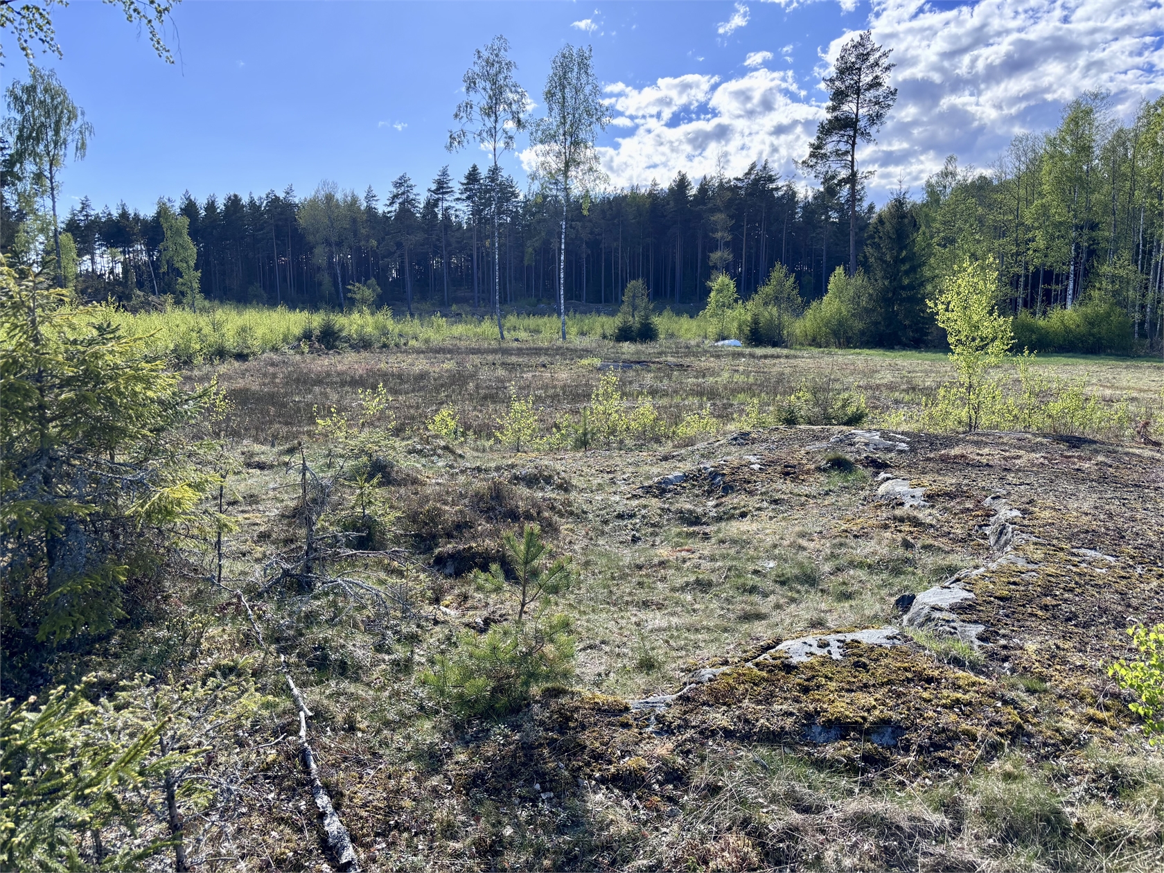 Hyltingeö 3