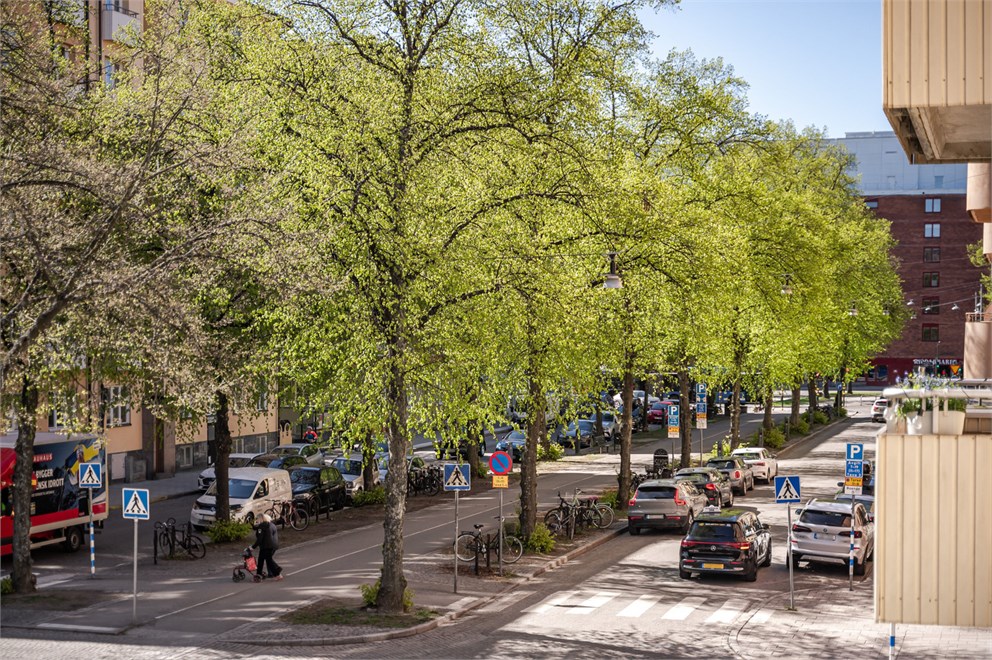 Strindbergsgatan 37