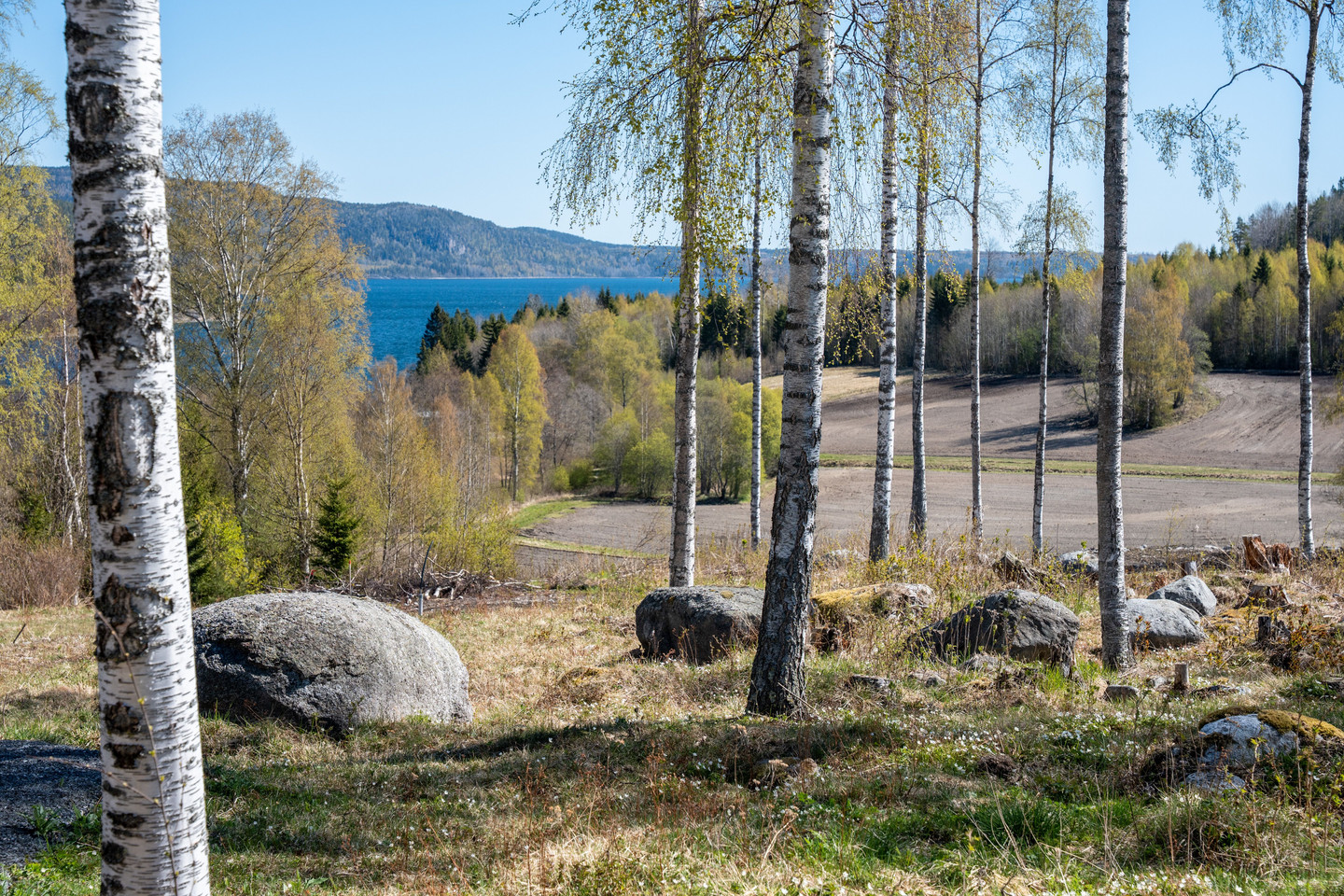 Gavik 214 – bild 2