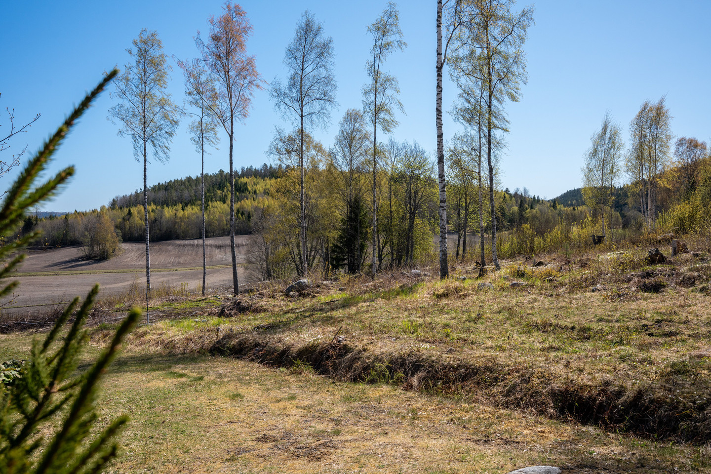 Gavik 214 – bild 4