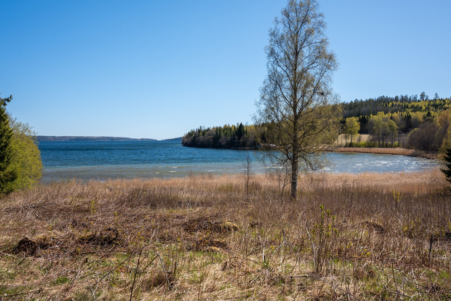 Gavik 214 – bild 8