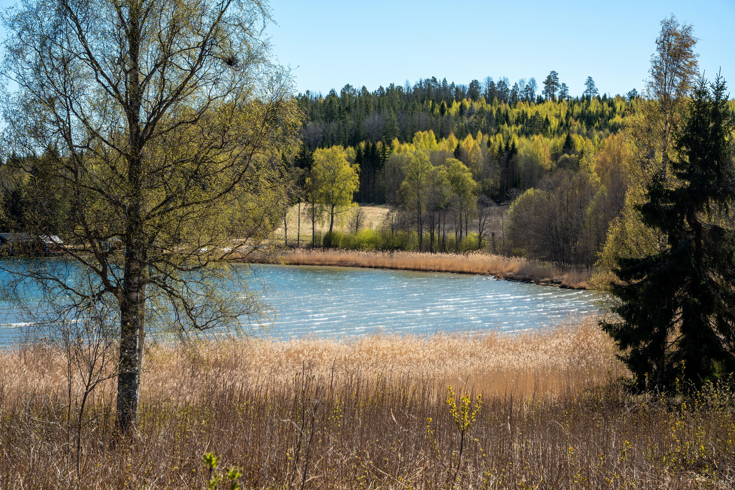 Gavik 214 – bild 9