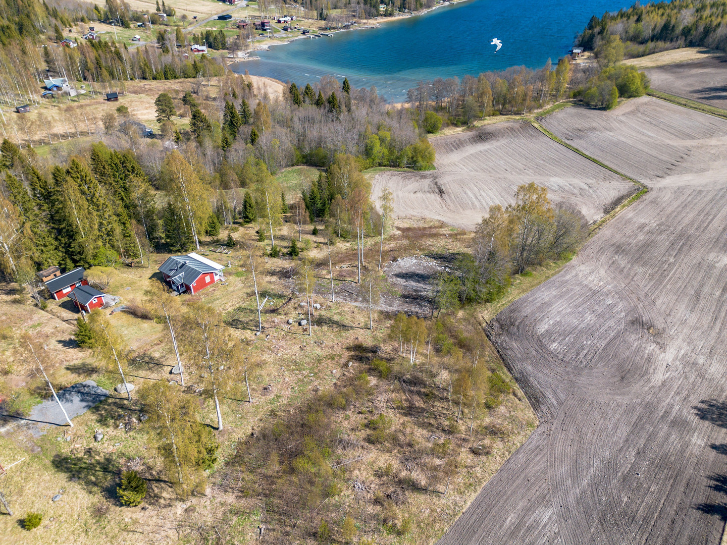 Gavik 214 – bild 11