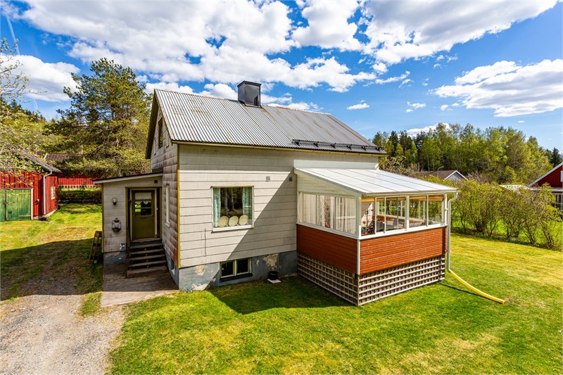 Exteriör