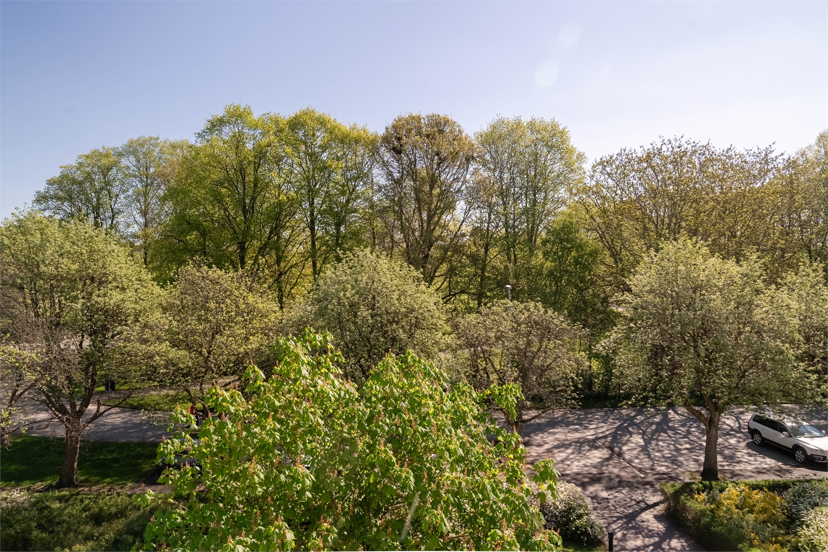 Sofiaparken 5D – bild 30