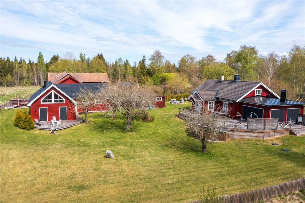 Snåret 1