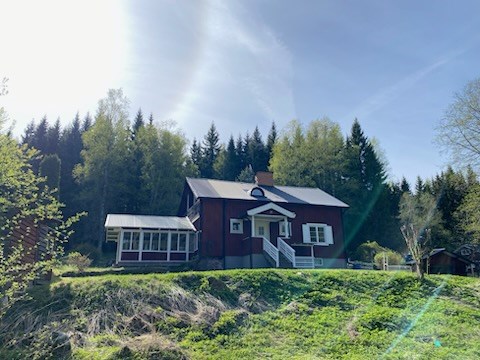 Dammtjärn 1 & Dammtjärn 3