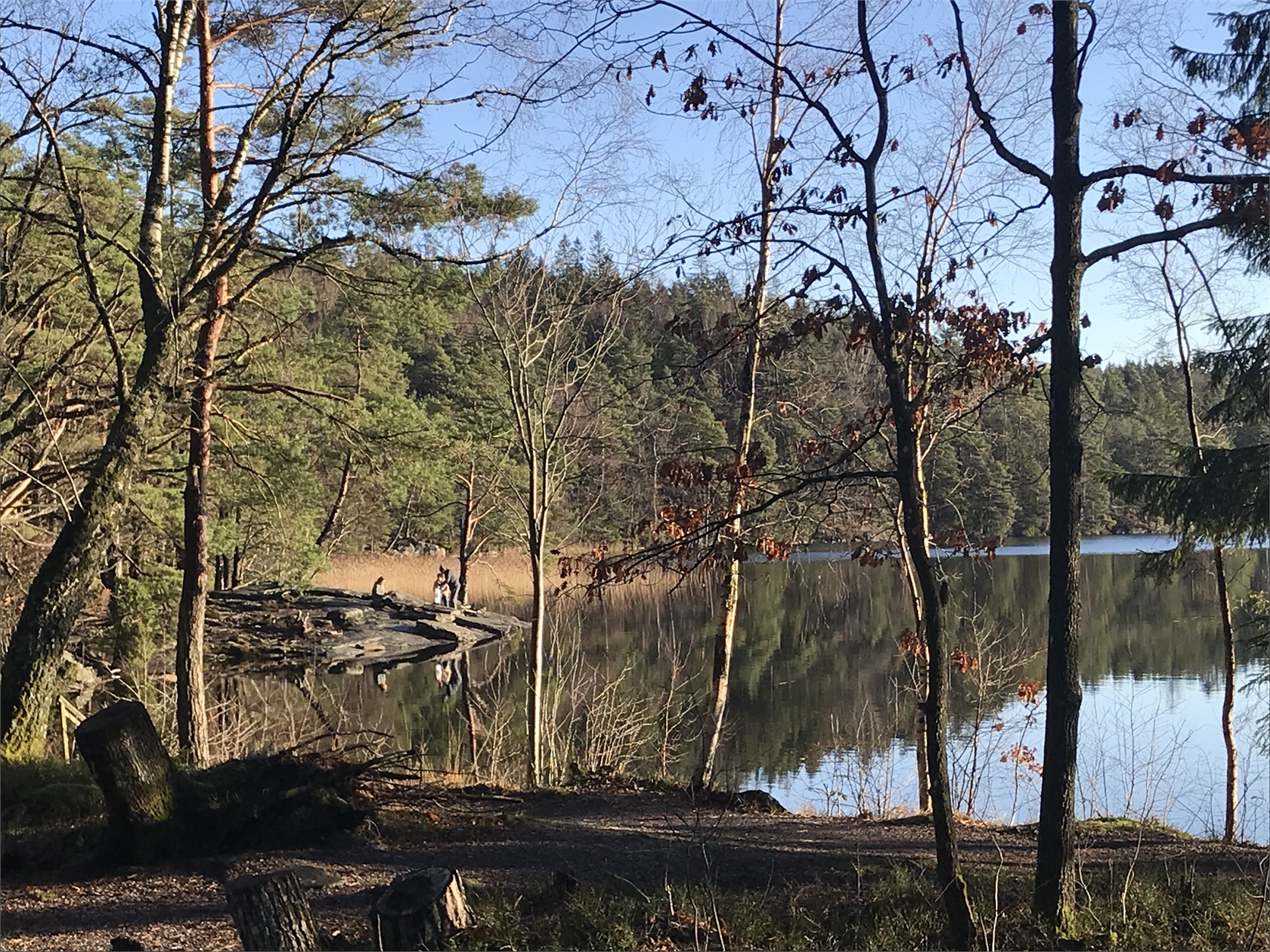 Hasselvägen 25 – bild 31