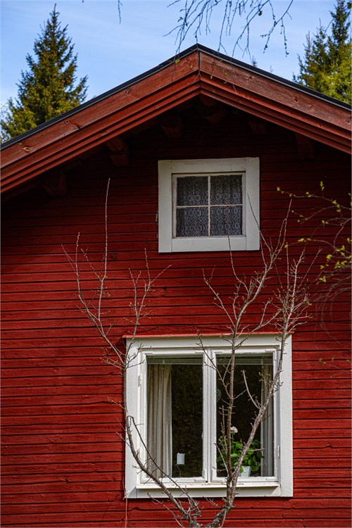 Exteriör