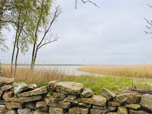 Grötlingbo Kauparve 639