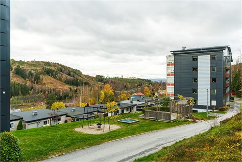 486371-113_005.jpg