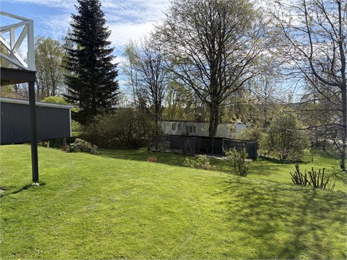 Baksida trädgård