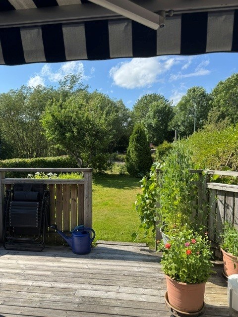 Säljarens egen bild
